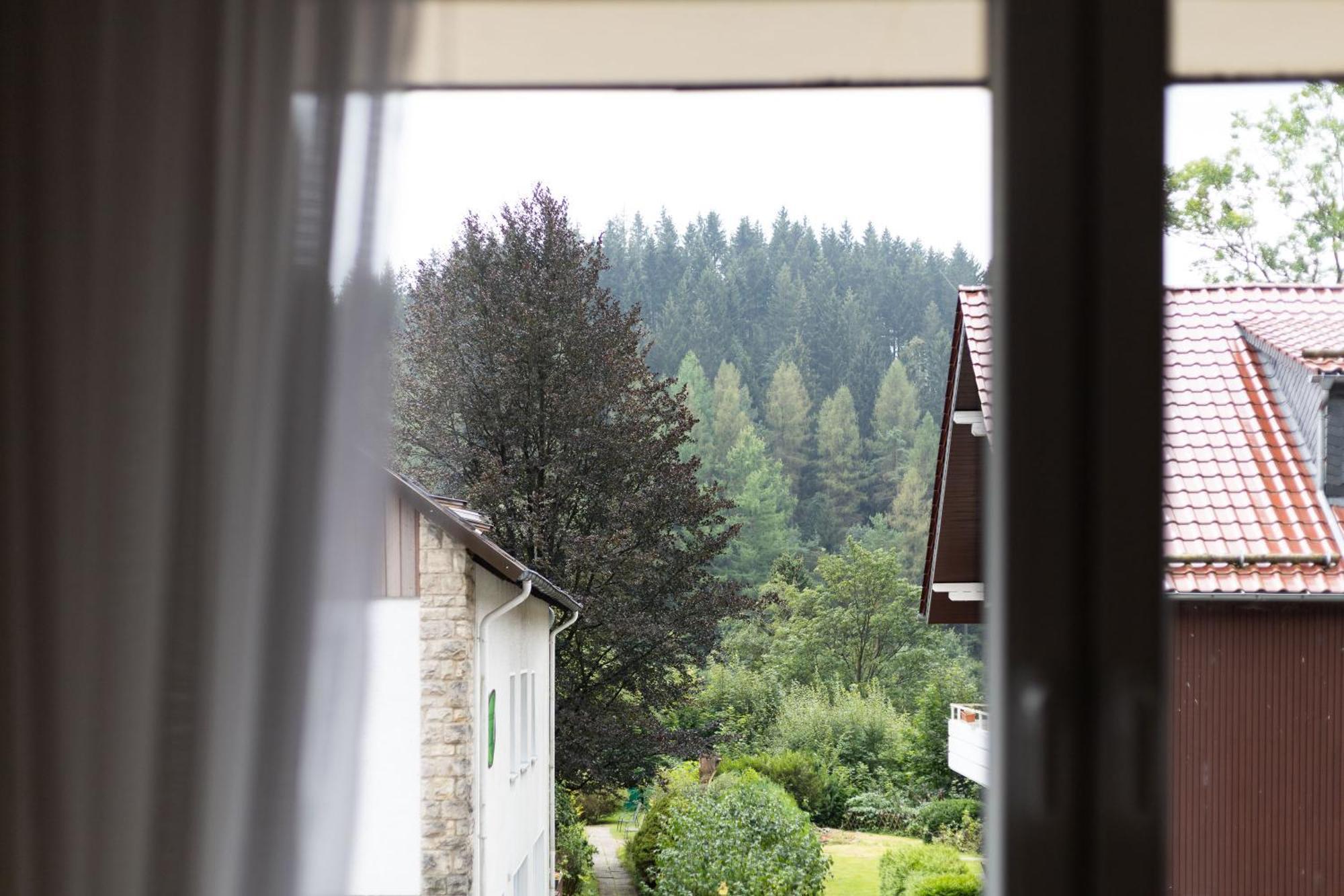 Apartmenthaus Am Waldrand- Kueche - Fruehstueck - Balkon Wildemann Exteriér fotografie